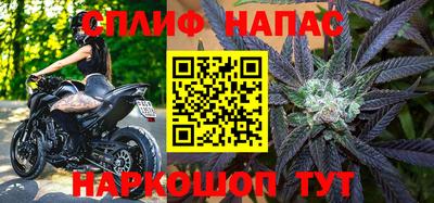 хмурый Тара