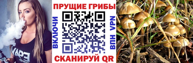 гидра вход  Черемхово  Галлюциногенные грибы мицелий 