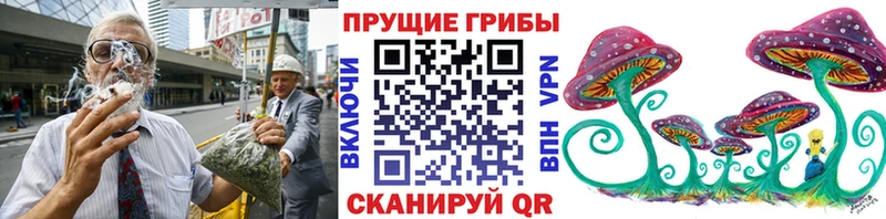 Галлюциногенные грибы Psilocybe Черемхово