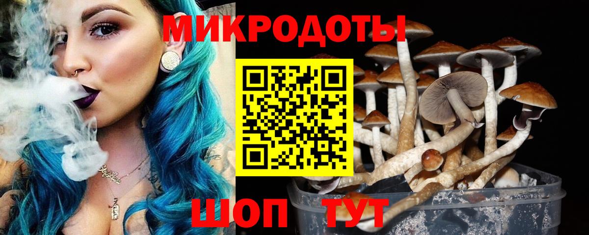 Черемхово  Галлюциногенные грибы мицелий  Галлюциногенные грибы мухоморы  Вход с VPN 